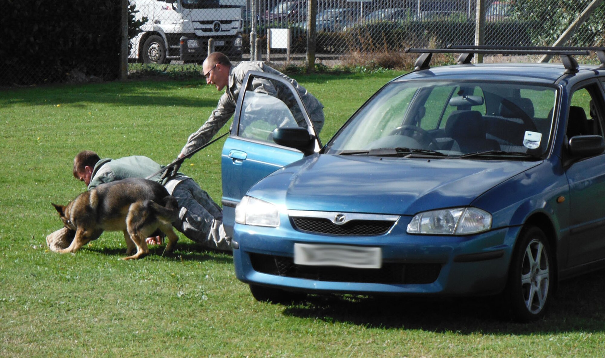 RAF MILDENHALL, England – Staff Sgt. Chris Bieu, 100th Security Forces Squadron Military Working Dogs handler, is taken down as he acts as a decoy during a demonstration for a base tour Sept. 18, 2012. During the demonstration, which showcased the skills and capabilities of the dogs, MWD Gina leapt through the open window of a vehicle to tackle a “suspicious person” who would not stop after being told to do so by the police. She bit into the protective sleeve covering his arm and held onto him as he struggled to get out of the car, before being apprehended by handler Staff Sgt. Steve Culver, 100th SFS. (U.S. Air Force photo/Karen Abeyasekere)