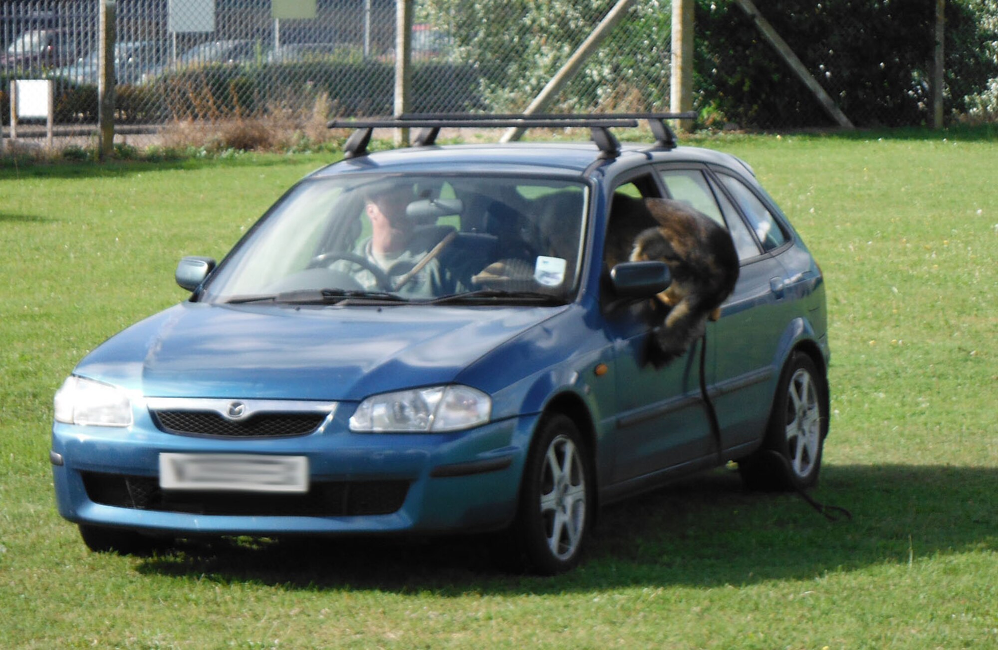 RAF MILDENHALL, England – Military Working Dog Gina, 100th Security Forces Squadron, leaps through the open window of a vehicle to seize Staff Sgt. Chris Bieu, 100th SFS MWD handler, acting as a decoy during an MWD demonstration as part of a base tour of RAF Mildenhall Sept. 18, 2012. The base offers tours to local community groups throughout the year who can visit either 100th SFS, 100th Civil Engineer Squadron Fire Department, 352nd Special Operations Group, or the 100th Operations Support Squadron Air Traffic Control tower. (U.S. Air Force photo/Karen Abeyasekere)
