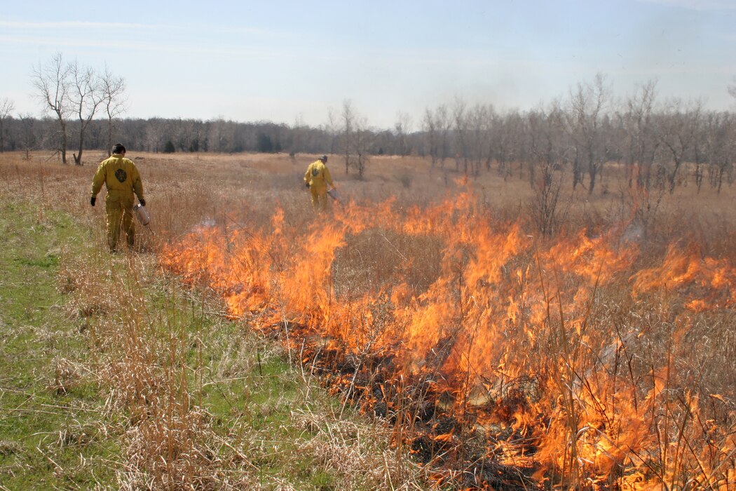 Prescribed Burning