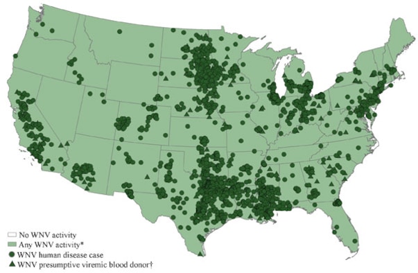 This map shows the distribution of West Nile Virus cases as of Sept. 11, 2012. The Centers for Disease Control  reported as of Sept. 11, there were 2,636 cases of the virus with 118 deaths. (Contributed graphic)
