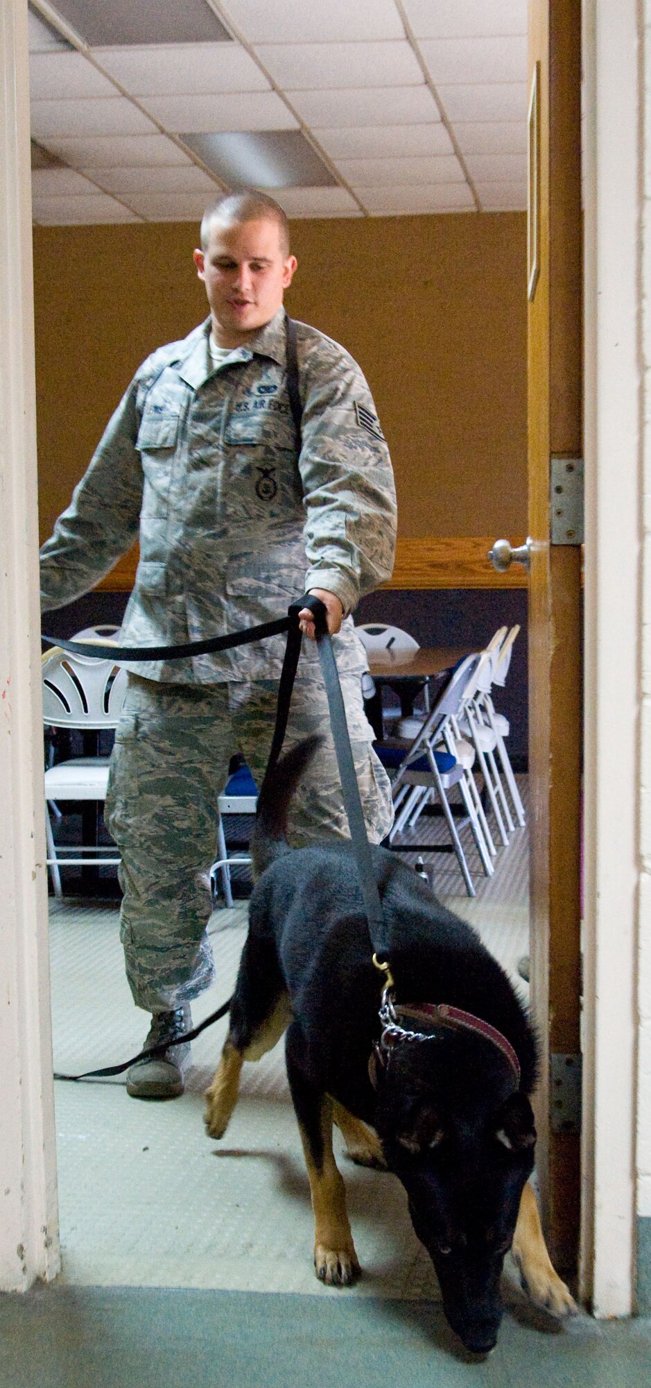 Staff Sgt. Nicholas Lewis, military working dog handler with the 436th Security Forces Squadron, searches for simulated explosive material with MWD Body. Military working dogs undergo extensive training to stay current in their fields. (U.S. Air Force photo by Adrian R. Rowan)