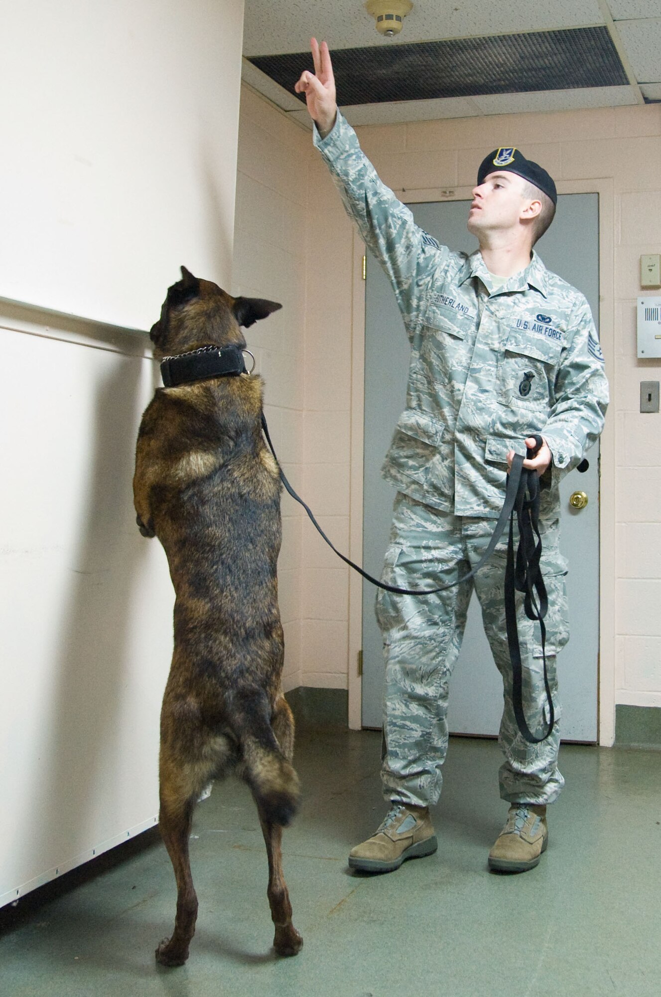 Staff Sgt. John Sutherland, military working dog handler with the 436th Security Forces Squadron, searches for simulated explosive material with MWD Llance. Military working dogs undergo extensive training to stay current in their fields. (U.S. Air Force photo by Adrian R. Rowan)