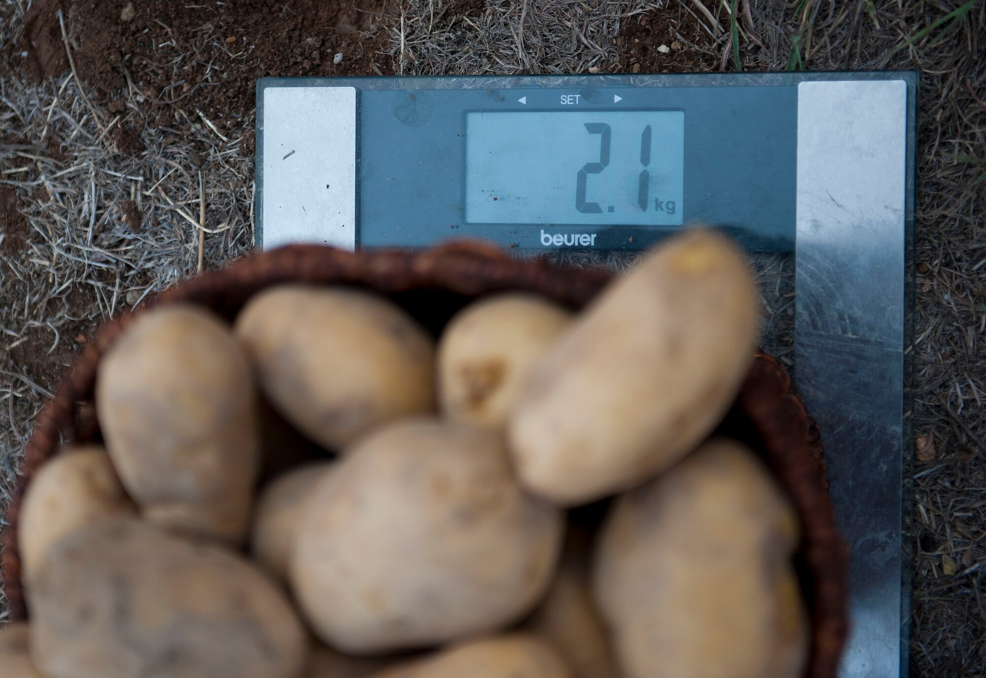 A team weighs potatoes as part of a challenge during Incirlik's Amazing Race Sept. 22, 2012, at Incirlik Air Base, Turkey. Eight teams traveled across the base and into parts of Adana accomplishing various challenges while competing for first place. The event kicked off Incirlik's Combined Federal Campaign with all team fees going to charity. (U.S. Air Force photo by Senior Airman Clayton Lenhardt/Released)