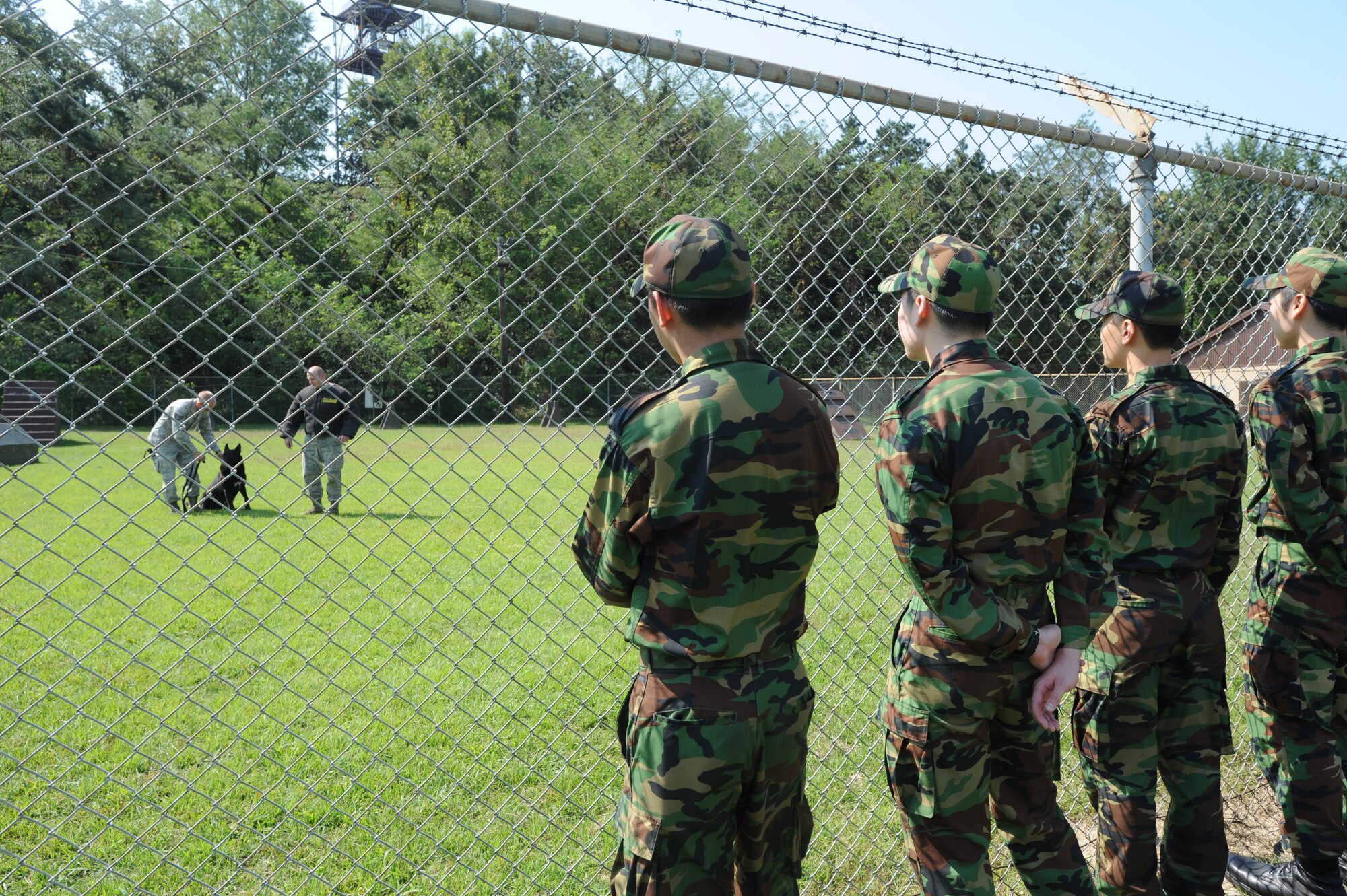 Members from the Republic of Korea Air Force Air Police Squadron at Osan Air Base watch a military working dog demonstration at the base kennel Sept. 24, 2012. The 51st Security Forces Squadron welcomed their ROK counterparts to view the capabilities of MWDs. (U.S. Air Force photo/Airman 1st Class Alexis Siekert)