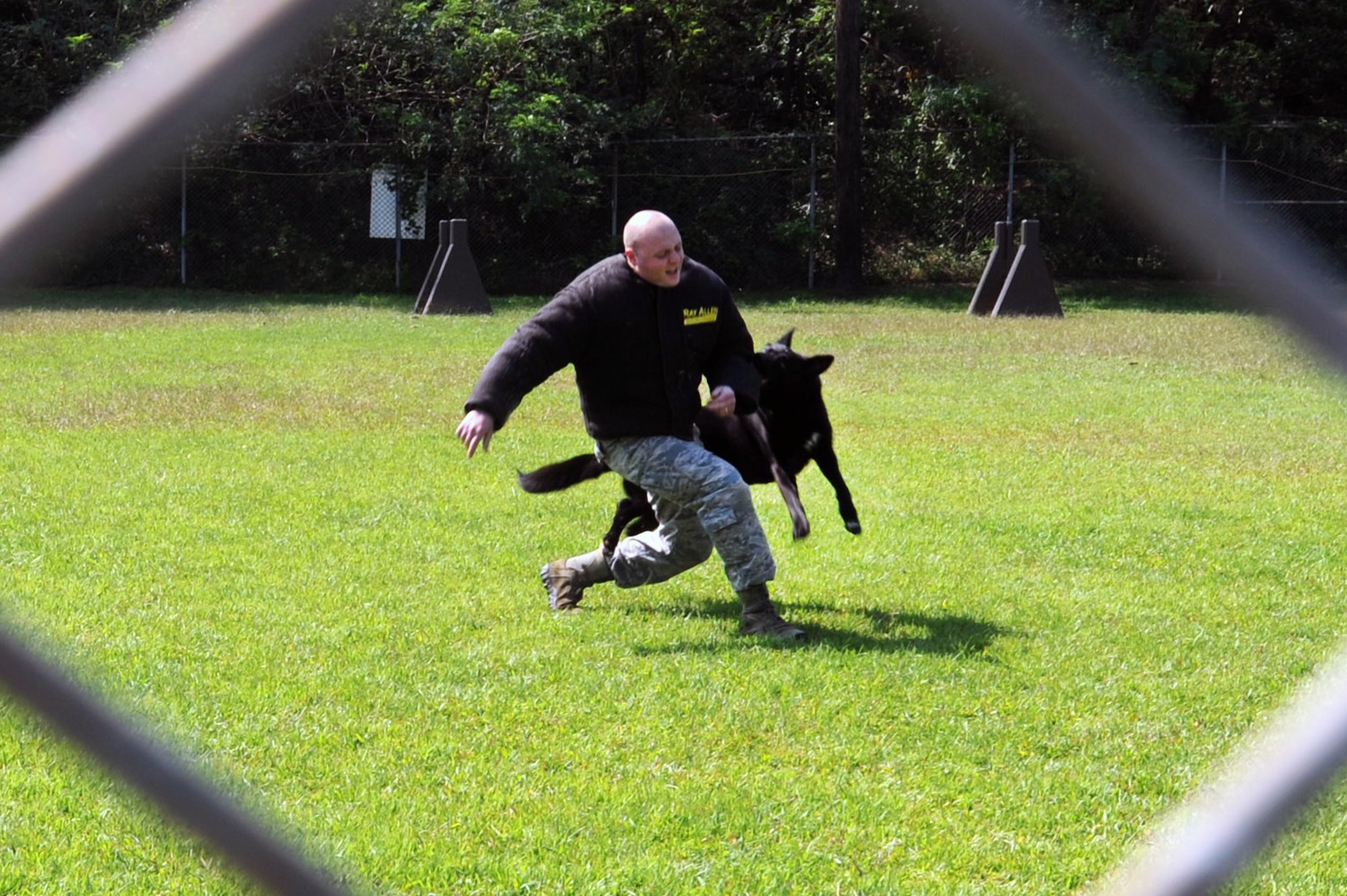Senior Airman Otho Nugent, 51st Security Forces Squadron military working dog handler, demonstrates an attack scenario for members of the Republic of Korea Air Force Air Police Squadron at the Osan Air Base kennel Sept. 24, 2012. Osan’s kennel is the largest operational kennel in the Air Force. (U.S. Air Force photo/Airman 1st Class Alexis Siekert)