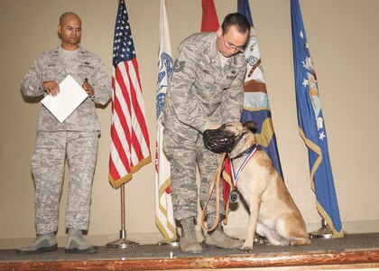 Tech. Sgt. Joseph Null, 341st Training Squadron military working dog adoptions coordinator, places the 37th Training Group medal of heroism on Layka Sept. 12 at Joint Base San Antonio-Lackland. (U.S. Air Force photo/Robbin Cresswell)