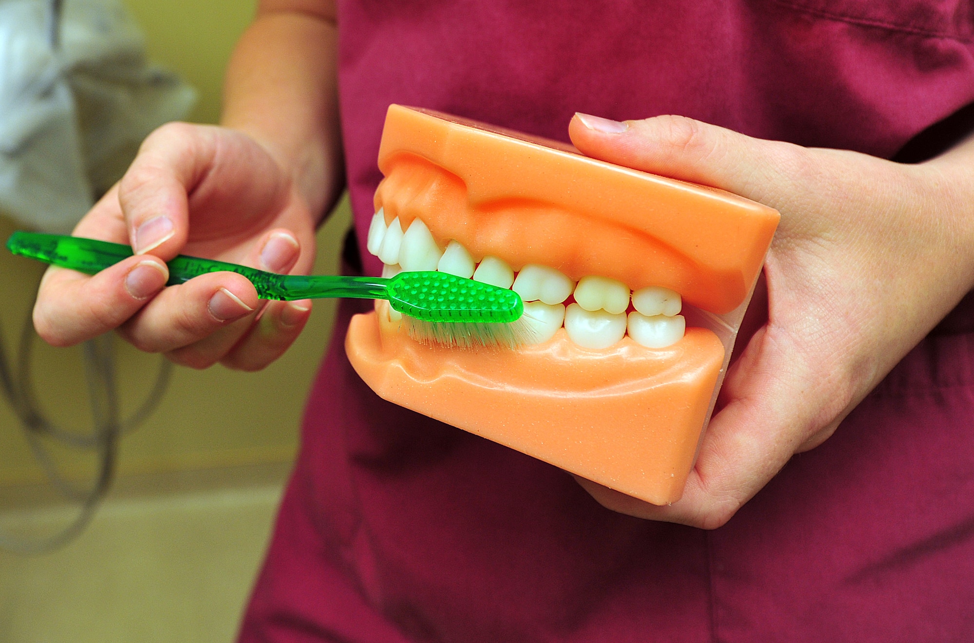 Senior Airman Amy Davey, 92nd Aerospace Medicine Squadron dental assistant, shows the proper way to take care of teeth by demonstrating how to brush and floss at Fairchild Air Force Base, Wash., Sept. 28, 2012. Properly brushing and flossing removes plaque build-up and can prevent tooth decay and gum disease. (U.S. Air Force photo by Airman 1st Class Taylor Curry)