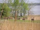 Wildlife Long Branch Lake