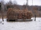 Duck Hunting at Long Branch Lake