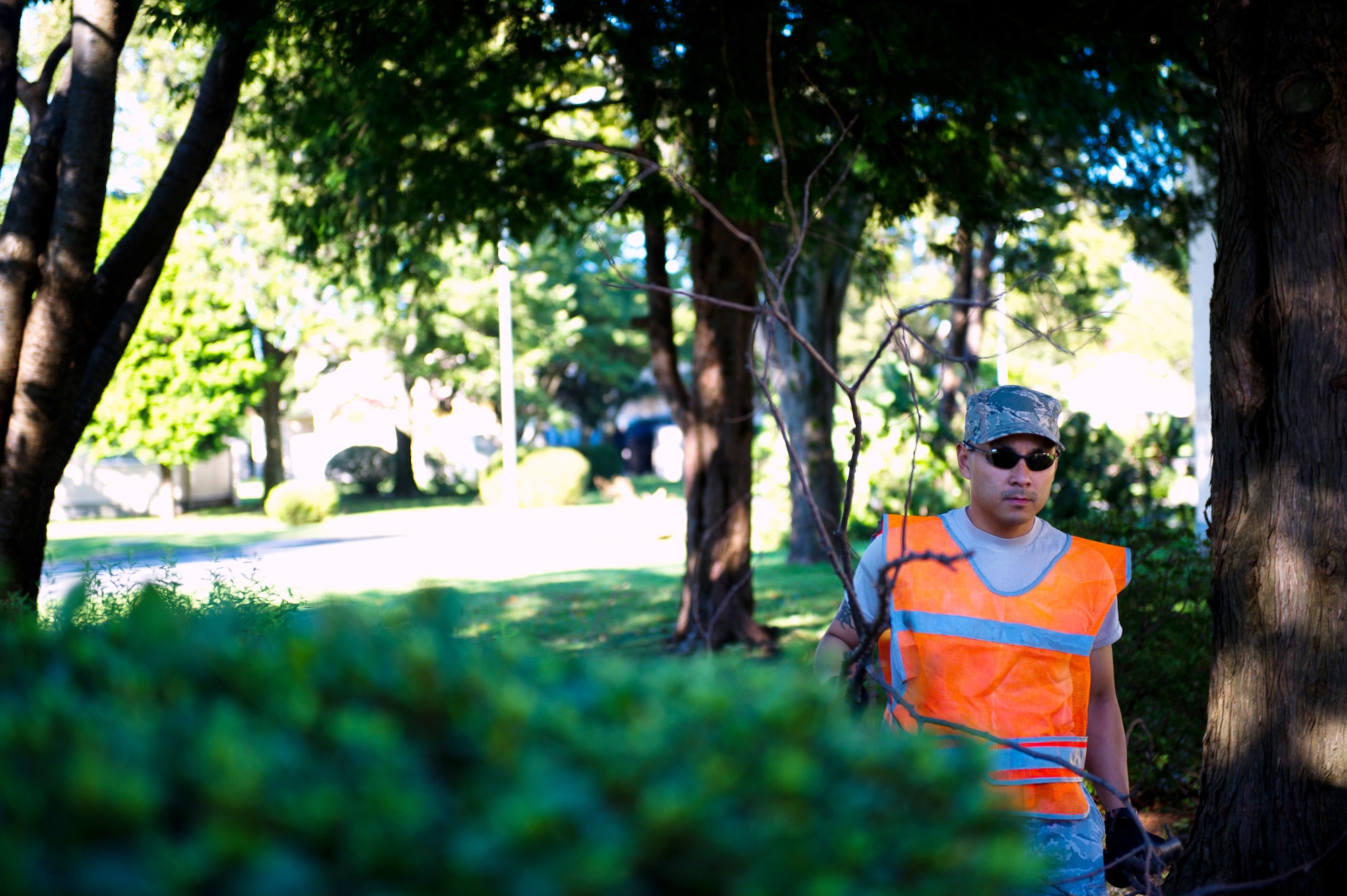YOKOTA AIR BASE, Japan -- Senior Airman Marty Cruz, 374th Civil Engineer Squadron utilities specialist, picks up fallen tree branches during the recovery phase of Typhoon Jelawat at Yokota Air Base, Japan, on Oct. 1, 2012. Recovery crews were sent throughout Yokota to pick up any debris caused by the storm. (U.S. Air Force photo by Staff Sgt. Chad C. Strohmeyer)