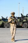 A Marine with 2nd Maintenance Battalion, 2nd Marine Logistics Group patrols a road outside the battalion’s complex during a training exercise aboard Camp Lejeune, N.C., March 27, 2013. Nearly one dozen Marines posing as terrorists infiltrated the area to simulate an attack on the unit’s facility. 