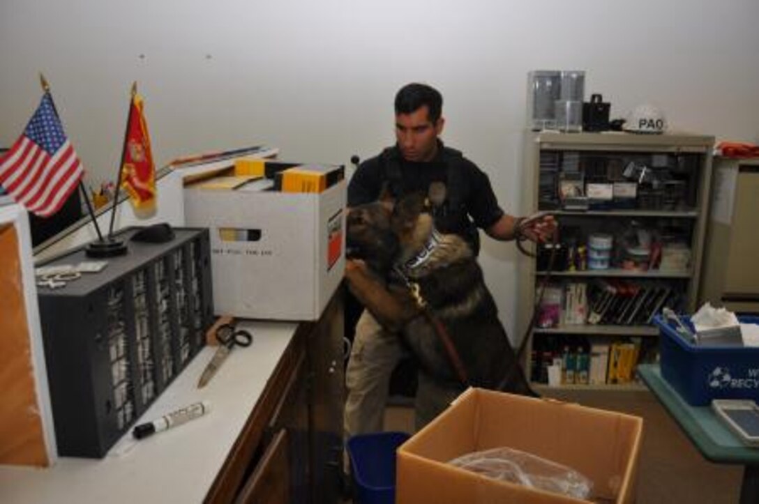 Anthony Seirafi, a dog handler with the Marine Corps Logistics Base Barstow Police Department, leads his four-legged partner, Ricsi, a K-9 police officer, during a training exercise on base, March 25. Various narcotics were sealed in canisters and planted throughout Building 204 for Ricsi to sniff out. Dog handlers on base train routinely with their K-9 counterparts to ensure they are ready for any scenario that may occur on base.


