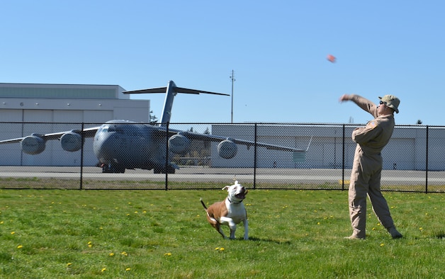 Capt. Jonathan Bowe, 4th Airlift Squadron pilot, plays one last game of fetch with his dog, before heading out for a 60-day deployment in support of Operation Enduring Freedom, March 31, 2013, at Joint Base Lewis-McChord, Wash. The deployed Airmen will take over operations of the 817th Expeditionary Airlift Squadron. (U.S. Air Force photo/Airman 1st Class Jacob Jimenez) 