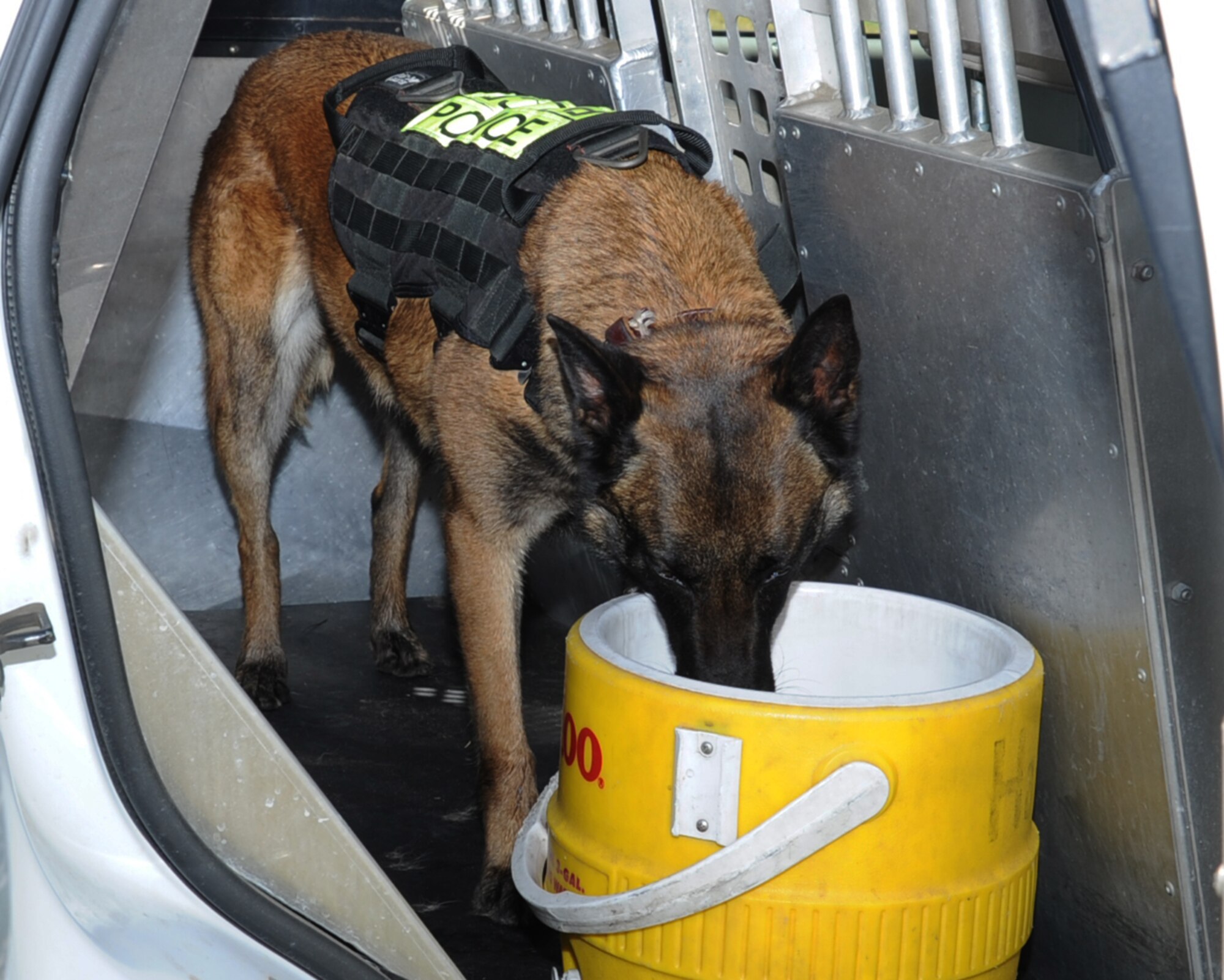 Zzeki, 2nd Security Forces Squadron military working dog, drinks water after running the obstacle course on Barksdale Air Force Base, La., April 1. Being able to train alongside one another, a MWD and his handler build trust, ensuring greater success in a deployed environment. (U.S. Air Force photo/Senior Airman Sean Martin)