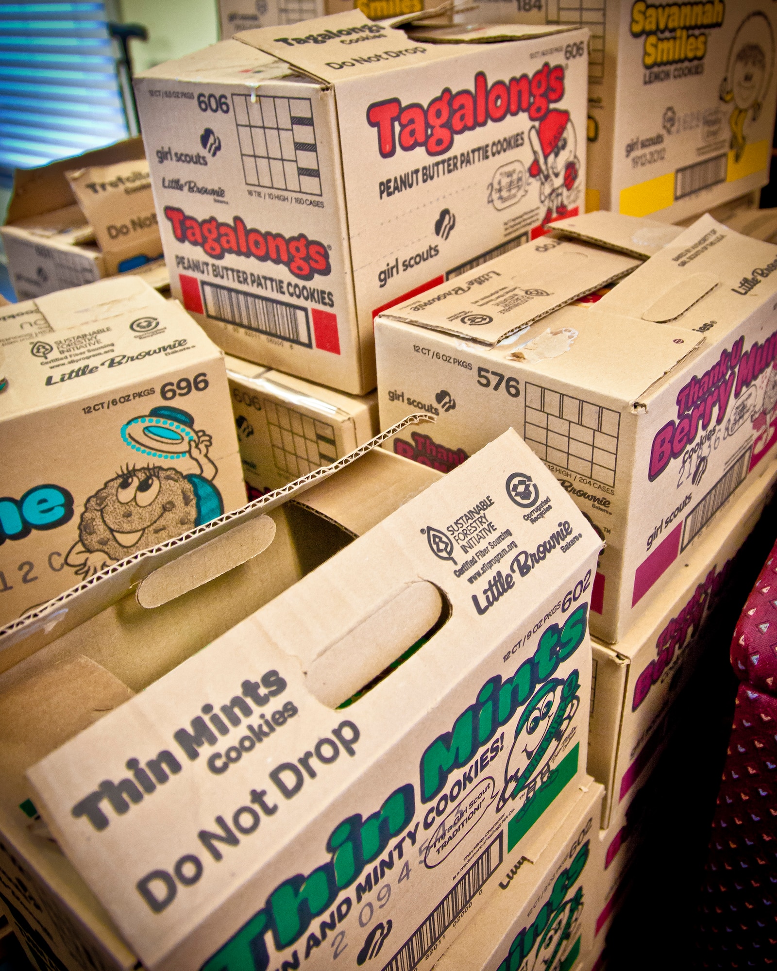 Girl Scouts Ainsley and Alexa Nutt, of Northfield GS Troops 25258 and 22642, delivered over 450 boxes of donated cookies on behalf of their troops to Michael Sanford, 934th Airmen and Family Readiness, at the Minneapolis-St. Paul Air Reserve Station, Minn.  (U.S. Air Force photo/Shannon McKay)