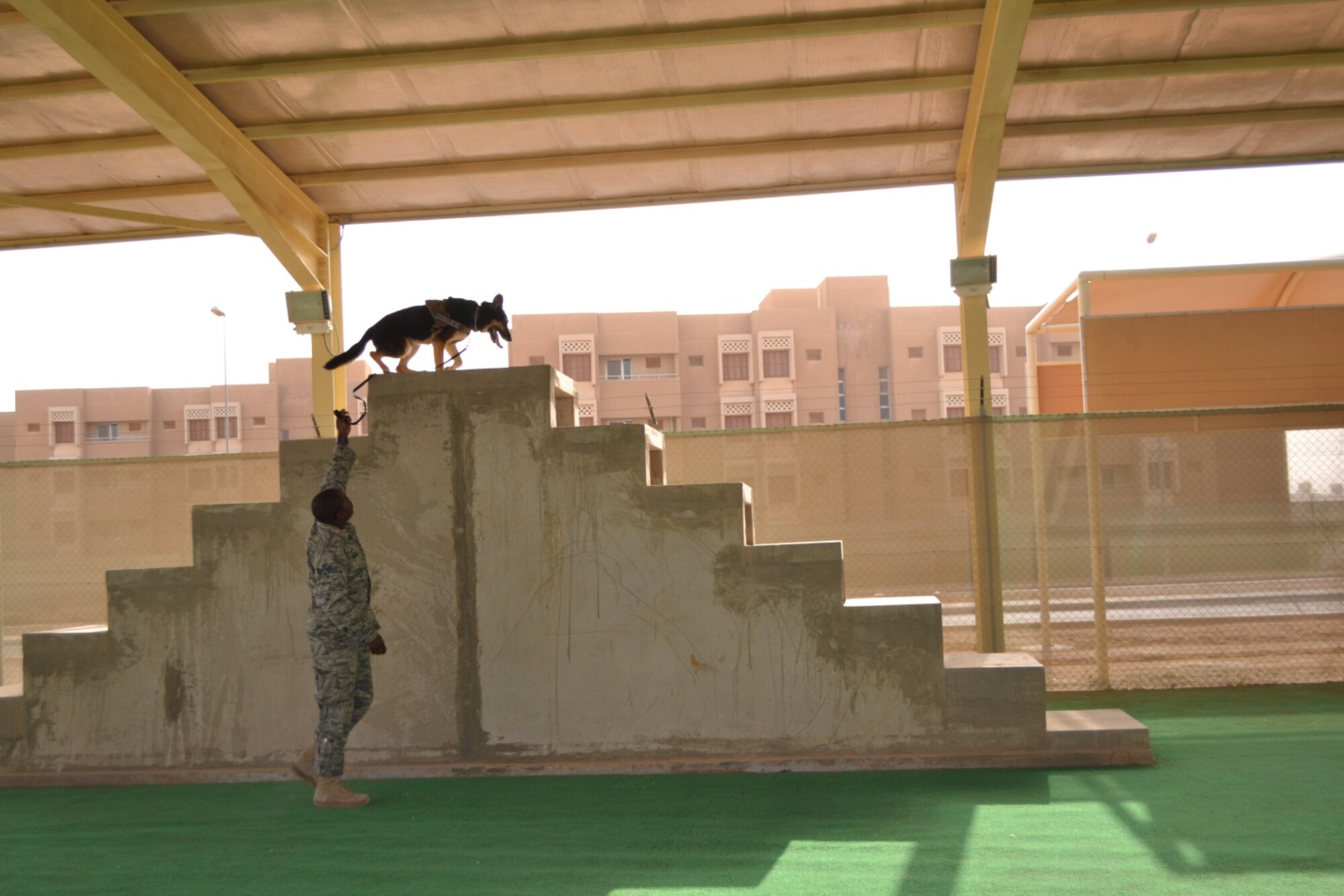 Senior Airman Rashawn Taylor and military working dog Charlie, 64th Expeditionary Security Forces Squadron, tackle obstacles at the military working dog facility, at an undisclosed location in Southwest Asia. (U.S. Air Force photo/Staff Sgt. Cynthia Brockes)
