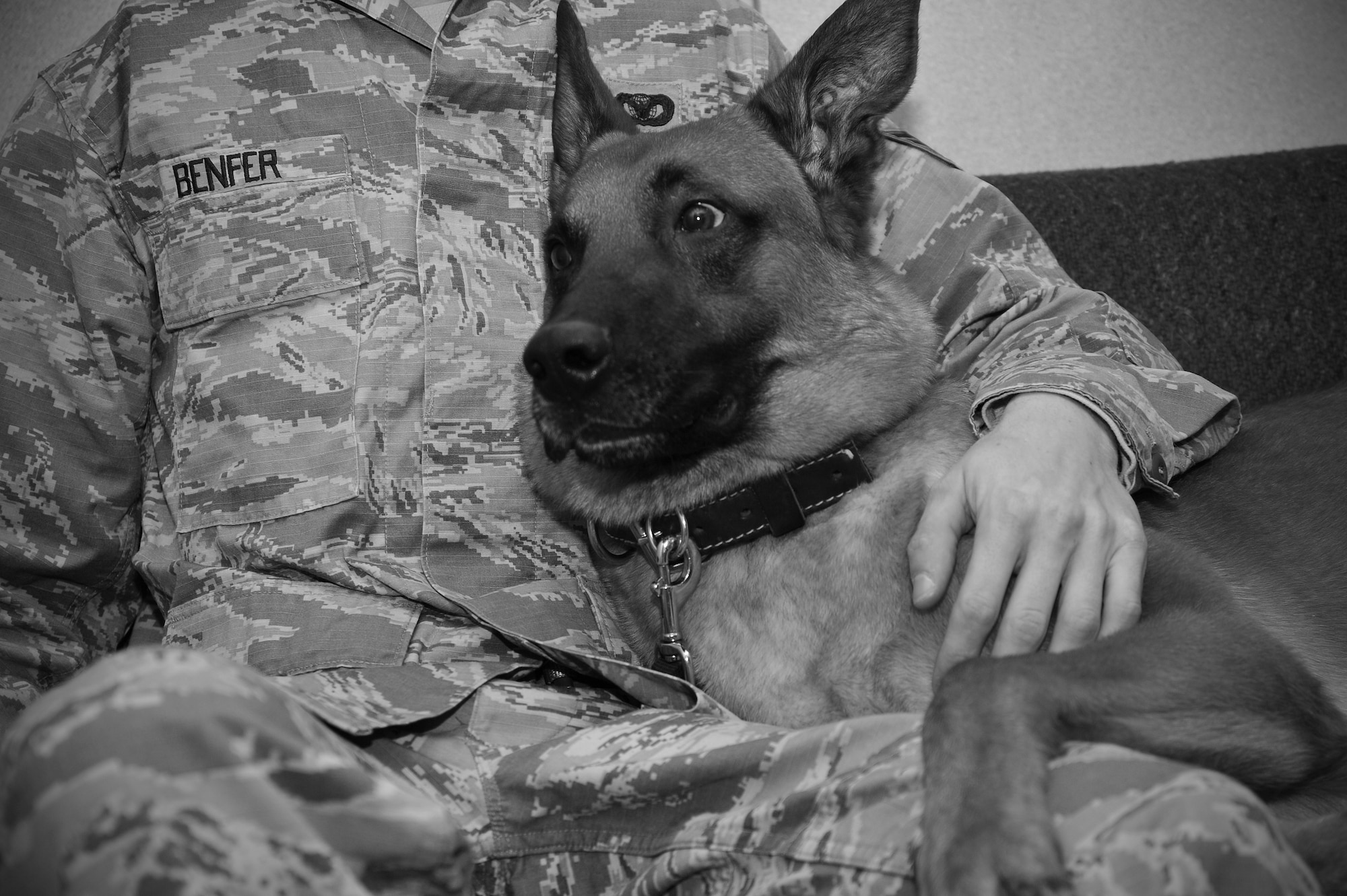 Uutah relaxes with a handler after a day of training at Fairchild Air Force Base, Wash., March 21, 2013. A few of the training exercises the dogs go through include bite work, confidence building and odor detection. Uutah is a Belgian Malinois military working dog assigned to the 92nd Security Forces Squadron. (U.S. Air Force photo by Senior Airman Taylor Curry)