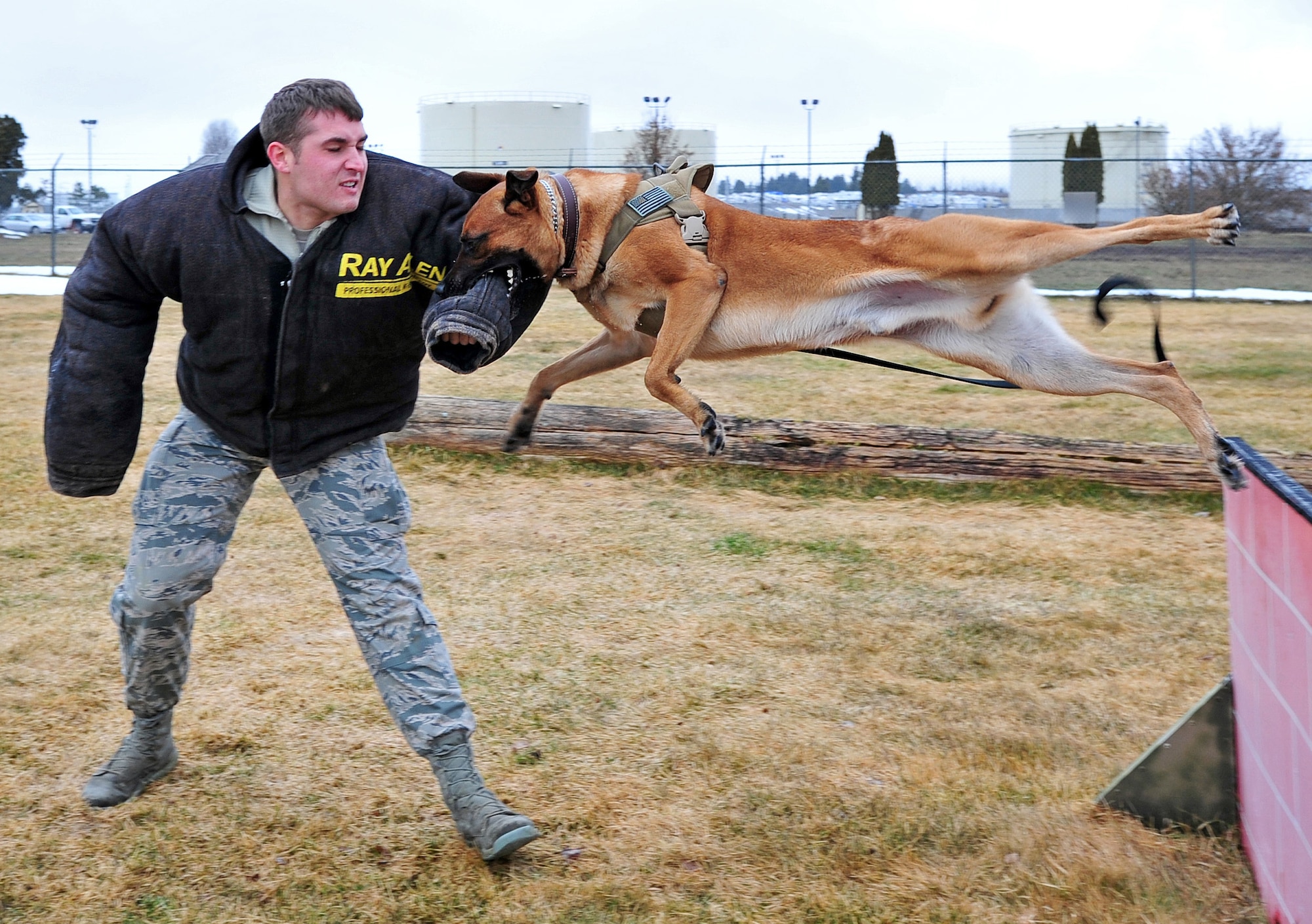 Uutah leaps over a hurdle to take down a simulated aggressor at the K-9 confidence course at Fairchild Air Force Base, Wash., Feb. 28, 2013. The course is designed to keep the dogs proficiencies up. Uutah is a Belgian Malinois military working dog assigned to the 92nd Security Forces Squadron. (U.S. Air Force photo by Senior Airman Taylor Curry)