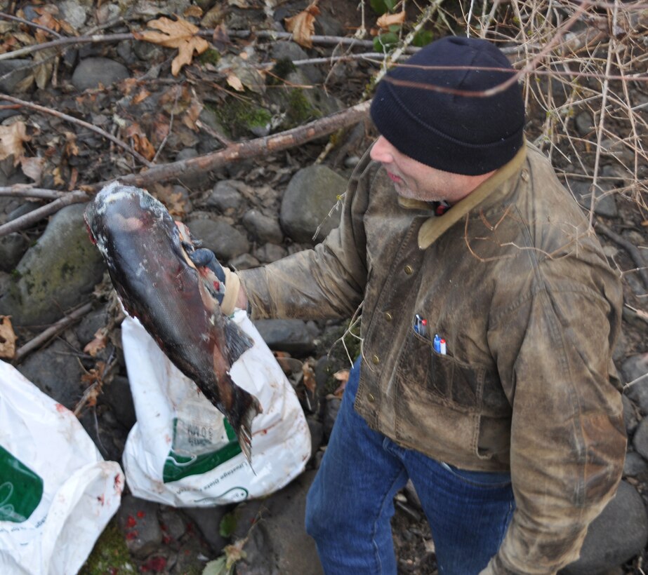 pper Rogue Watershed Association Director Pete Mazzini stands on the frozen banks of Elk Creek, preparing to toss salmon into the stream and restore vital nutrients to its ecosystem.