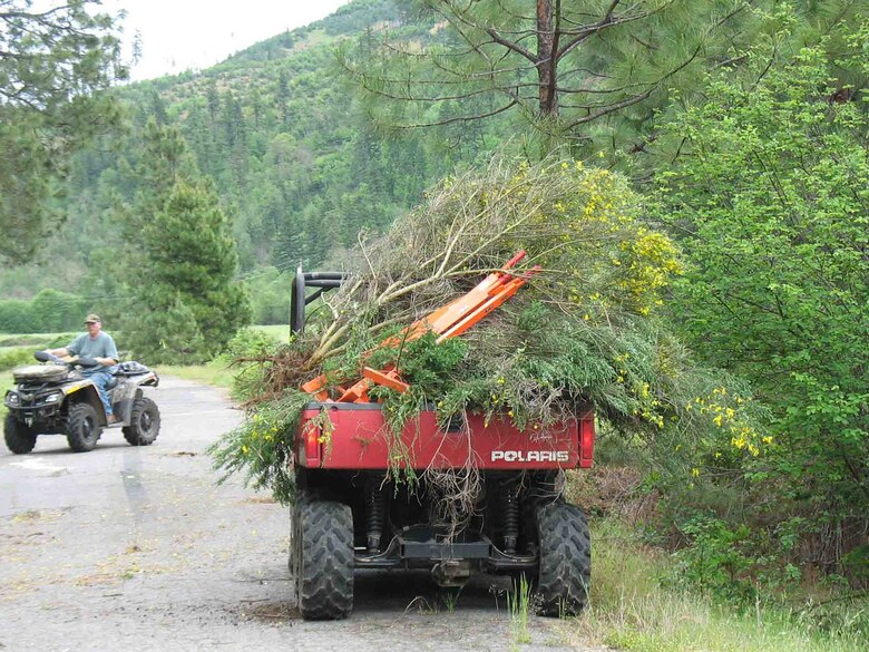 Members of the Upper Rogue Watershed Association and the Oregon Hunters Association worked diligently to pull the invasive species Scotch broom from important fish and big game habitat in the fields and banks of Elk Creek.