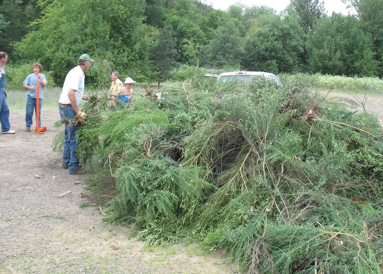 Members of the Upper Rogue Watershed Association and the Oregon Hunters Association worked diligently to pull the invasive species Scotch broom from important fish and big game habitat in the fields and banks of Elk Creek.