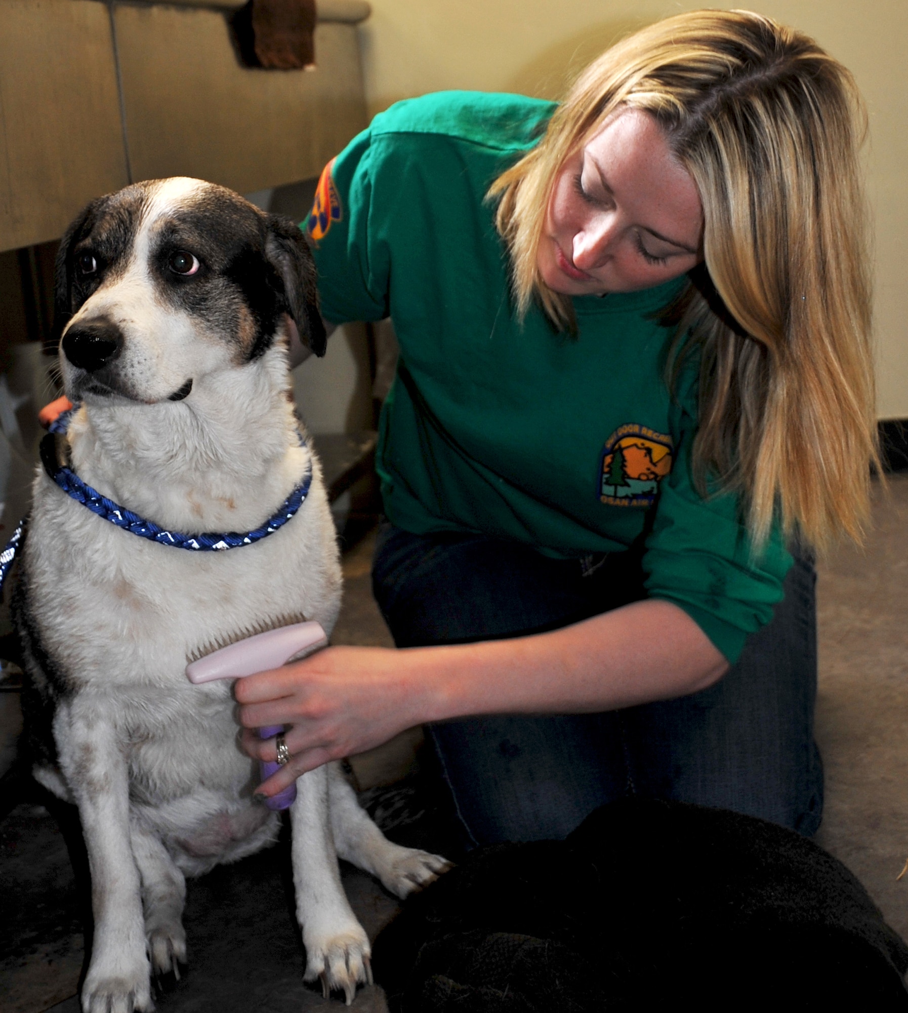 Traci Urquhart, Pet Lodge animal care provider, grooms Haley’s coat after giving her a bath at the Pet Lodge on Osan Air Base, Republic of Korea, April 1, 2013. The Pet Lodge provides grooming, ear and teeth cleaning, bathing, and nail clipping for their four-legged clientele. (U.S. Air Force photo/Senior Airman Kristina Overton) 