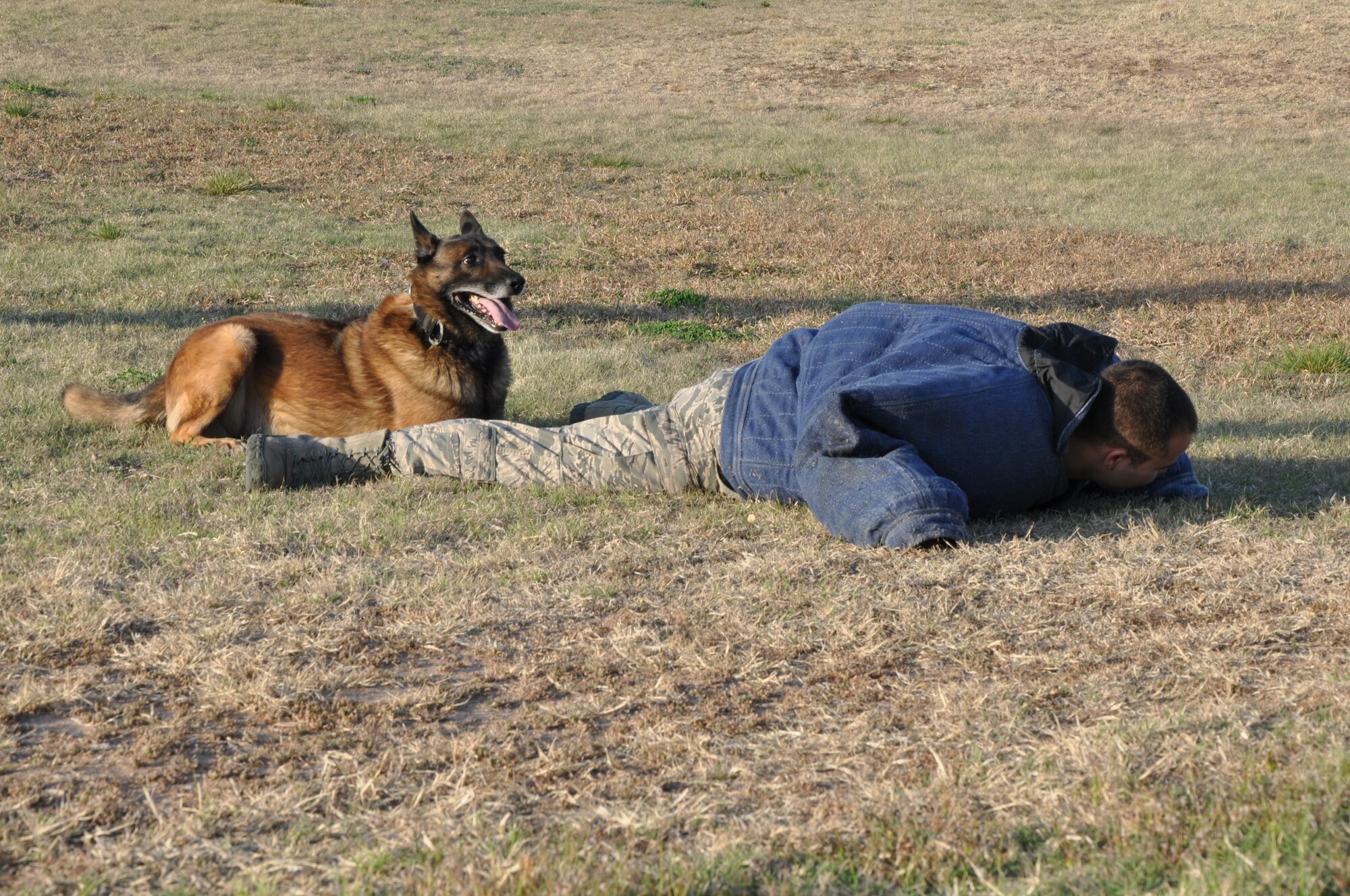 GOODFELLOW AIR FORCE BASE, Texas – Rocky, 17th Security Forces working dog, guards Staff Sgt. Jonathan Halcomb, 17th Security Forces military working dog trainer, at the provider collaboration meeting near the Ross Clinic, here, March 28. The clinic hosted a meet and greet for referral providers from the community. (U.S. Air Force photo/ Airman 1st Class Joshua Edwards)