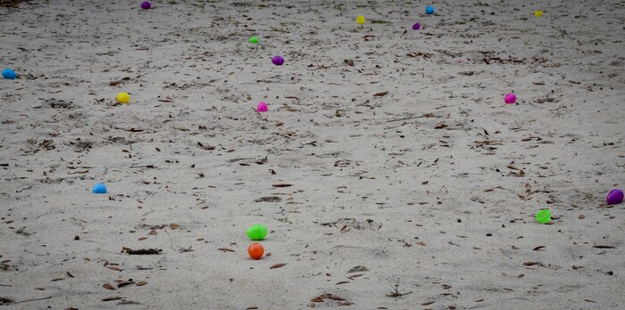 The Easter Bunny visited Marrington Plantation, leaving candy filled eggs for children to find during the annual Easter Event March 30, 2013, at Joint Base Charleston – Weapons Station, S.C. The event included an Easter Egg Hunt, face painting and refreshments. More than 500 participants attended this year’s event, according to Robert Veronee, JB Charleston – Weapons Station Youth Center coordinator. (U.S. Air Force photo/Staff Sgt. Anthony Hyatt)
