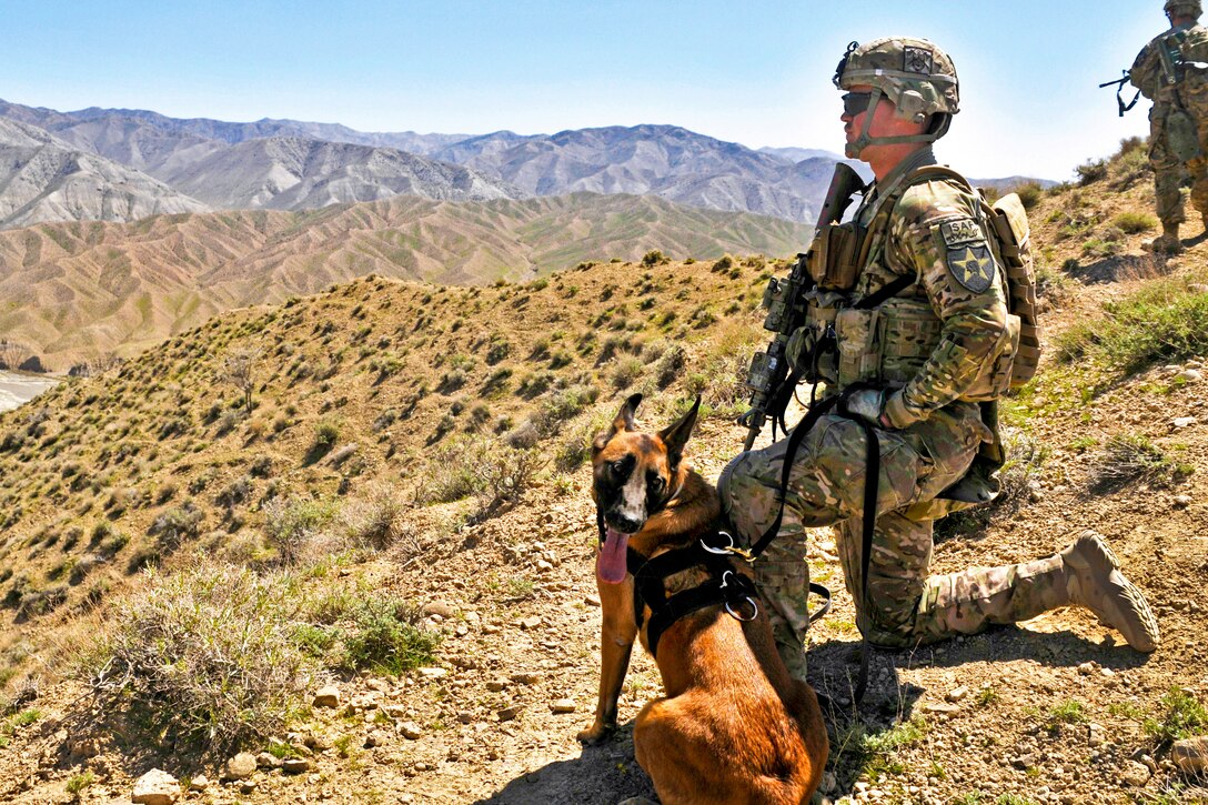 U.S. Army Sgt. Justin R. Pereira, right, and Laika 5, a military working dog trained to detect tactical explosives, provide security as Afghan border police break ground on a new checkpoint in the Spin Boldak district of Afghanistan's Kandahar province, March 25, 2013. Pereira and Laika 5 are assigned to the 2nd Infantry Division's 2nd Battalion, 23rd Infantry Regiment, 4th Striker Brigade Combat Team.