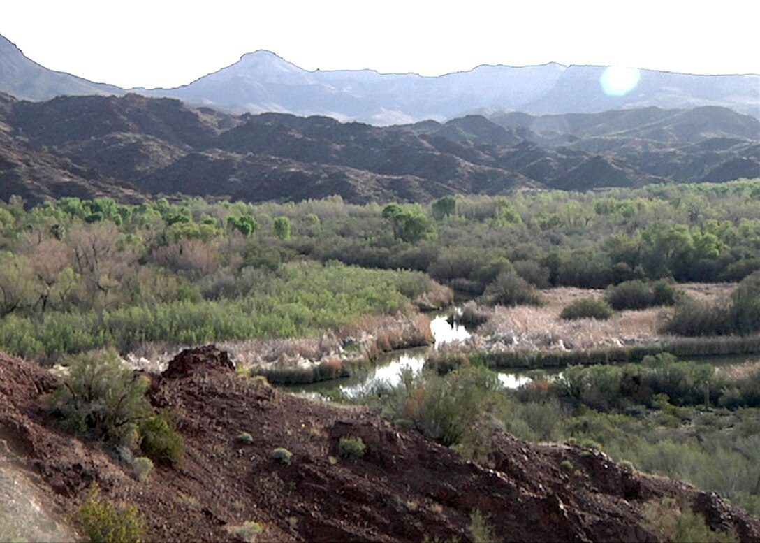 The Bill Williams National Wildlife Refuge, currently home to more than 300 species of birds with at least two more species coming in every year and an array of native riparian flora, benefits from water contained and released from Alamo Dam by the U.S. Army Corps of Engineers Los Angeles District, which entered an innovative partnership with state and federal agencies in the 1990s. Through the innovative partnership, known as the Bill Williams River Corridor Steering Committee, the District helps maintain a state park which hosts thousands of visitors every year and sustain 50 miles of downstream riparian habitat along the Bill Williams River all the way to Lake Havasu.  