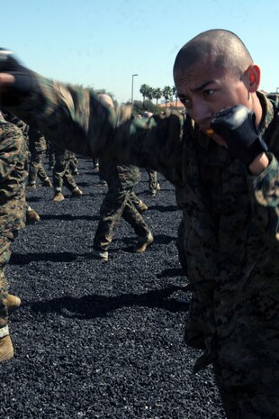 A recruit of Company M, 3rd Recruit Training Battalion, practices his punches during a Marine Corps Martial Arts Program class March 13. MCMAP teaches recruits the fundamentals of hand-to-hand combat and stresses mental disciplines. 