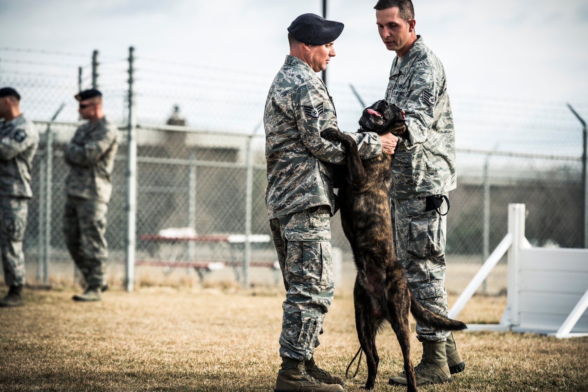 U.S. Air Force Staff Sgt. Dale Morgan-Jones (center) and Staff Sgt. Robert Wilson, 366th Security Forces Squadron dog handlers, give a head scratch to Military Working Dog Troll following a demonstration at Mountain Home Air Force Base, Idaho, April 1, 2013. MWDs and their handlers regularly deploy, requiring a close bond between the two. (U.S. Air Force photo/Tech. Sgt. Samuel Morse)