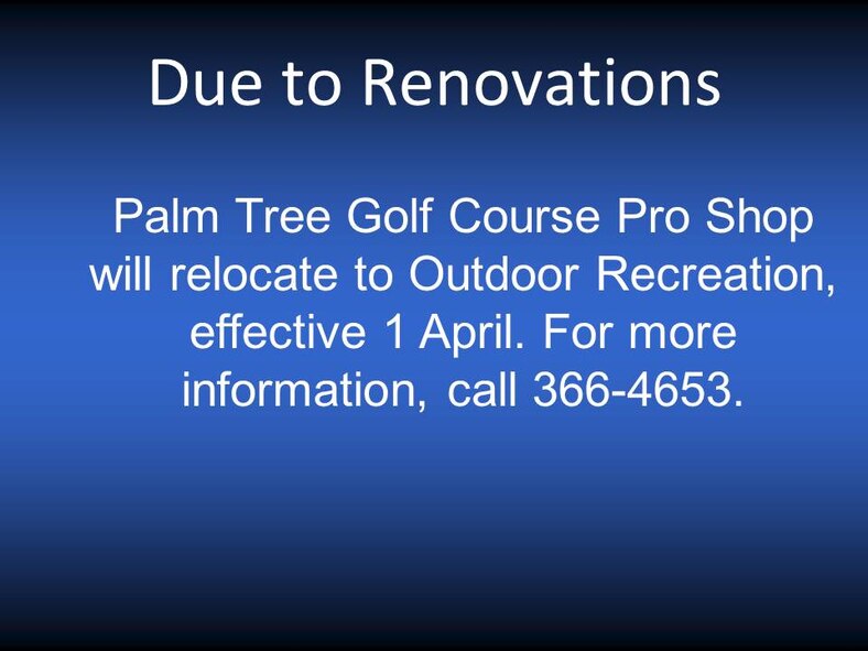 201304050-Palm tree gold course