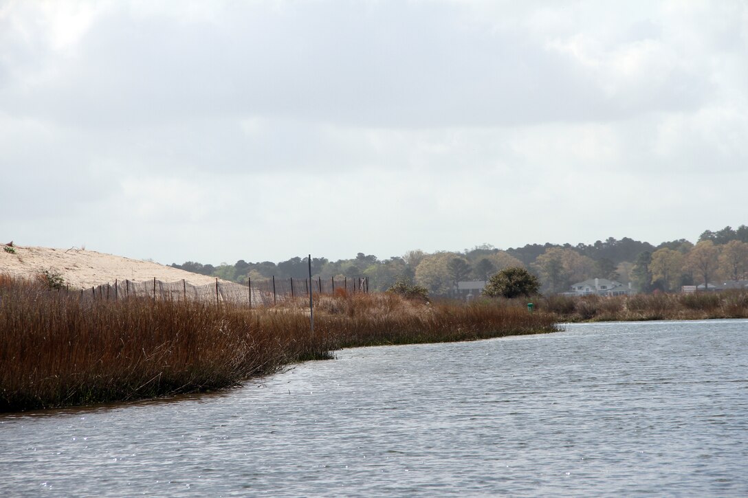 NORFOLK -- A shoreline view of the Lynnhaven River.