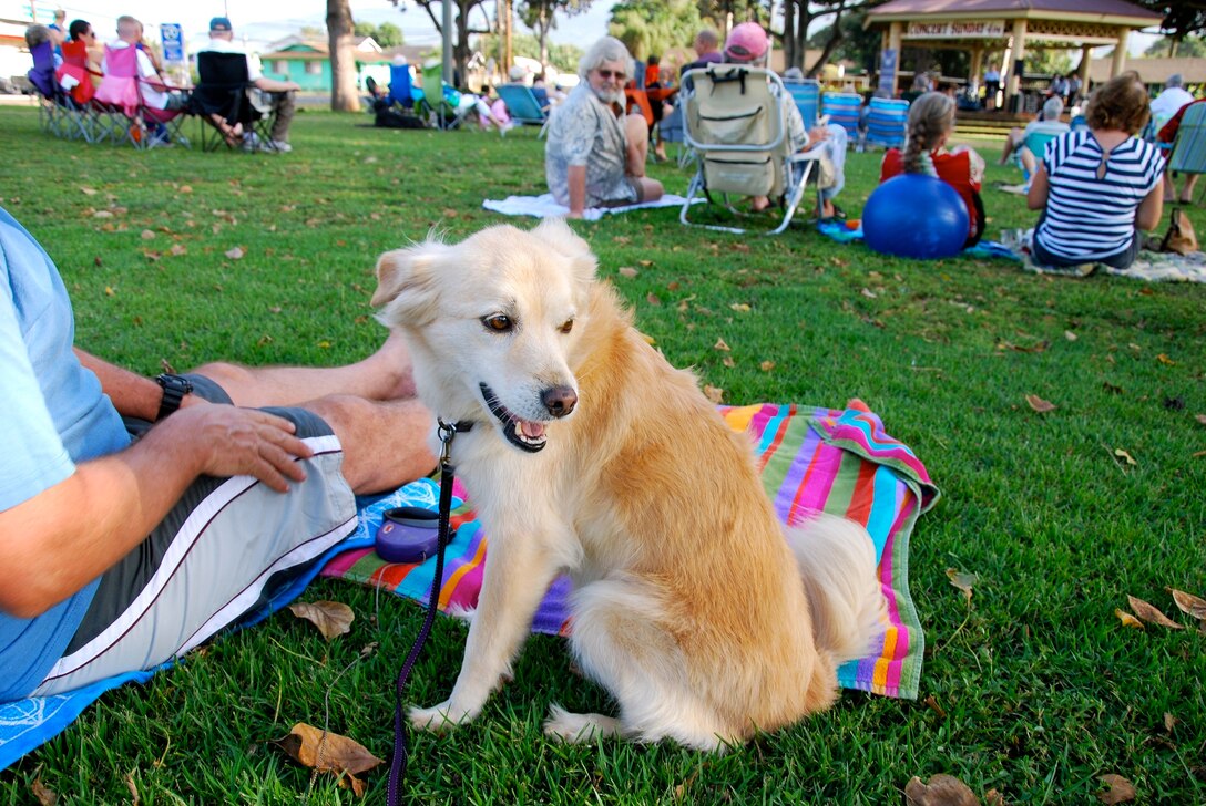 7 April 2013: Fun for the entire family, Homo sapiens and Canis lupus familiaris alike.  