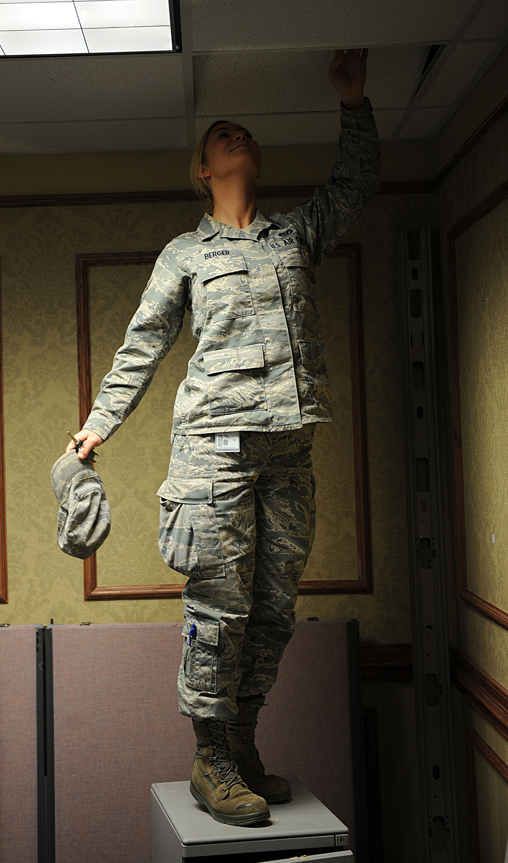 Pests can run, but they can't hide from the Langley Entomology team