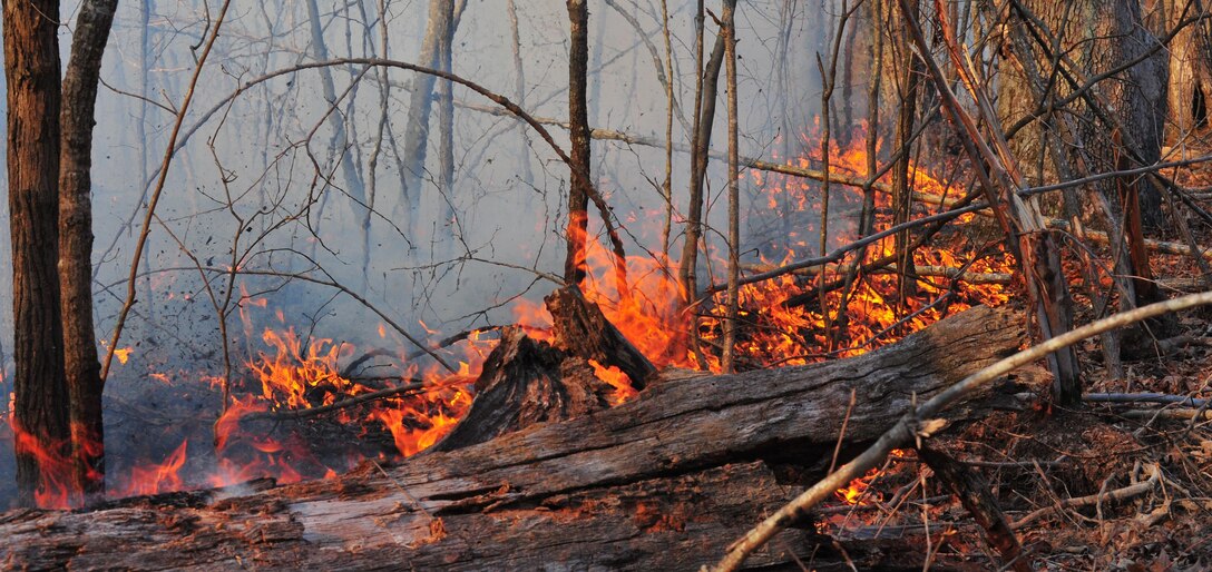 Quantico Fire Department and Emergency Rescue Services responded to a fire crawling through the woods in Training Area 11 on the west side of Marine Corps Base Quantico on April 9, 2013. The affected area was too large to extinguish outright so emergency responders limited the spread of the fire by bulldozing a "no burn" zone around it. After the zone had been crafted, firefighters fought fire with fire by "back-burning", a controlled burn designed to rob the fire of fuel so it can be managed safely.
