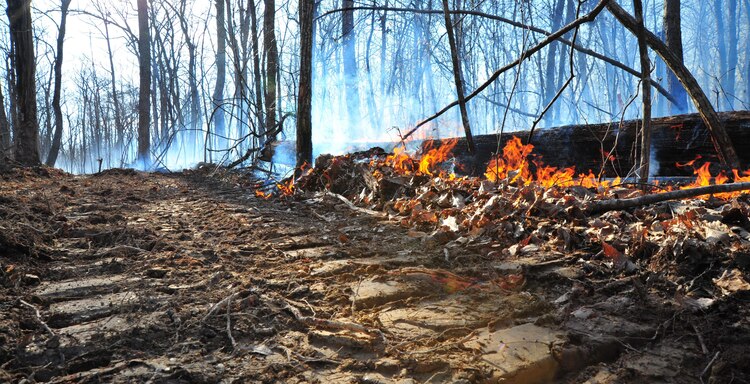 Quantico Fire Department and Emergency Rescue Services responded to a fire crawling through the woods in Training Area 11 on the west side of Marine Corps Base Quantico on April 9, 2013. The affected area was too large to extinguish outright so emergency responders limited the spread of the fire by bulldozing a "no burn" zone around it. After the zone had been crafted, firefighters fought fire with fire by "back-burning", a controlled burn designed to rob the fire of fuel so it can be managed safely.