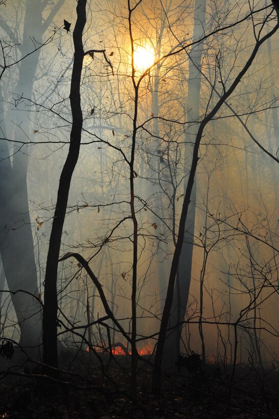 Quantico Fire Department and Emergency Rescue Services responded to a fire crawling through the woods in Training Area 11 on the west side of Marine Corps Base Quantico on April 9, 2013. The affected area was too large to extinguish outright so emergency responders limited the spread of the fire by bulldozing a "no burn" zone around it. After the zone had been crafted, firefighters fought fire with fire by "back-burning", a controlled burn designed to rob the fire of fuel so it can be managed safely.