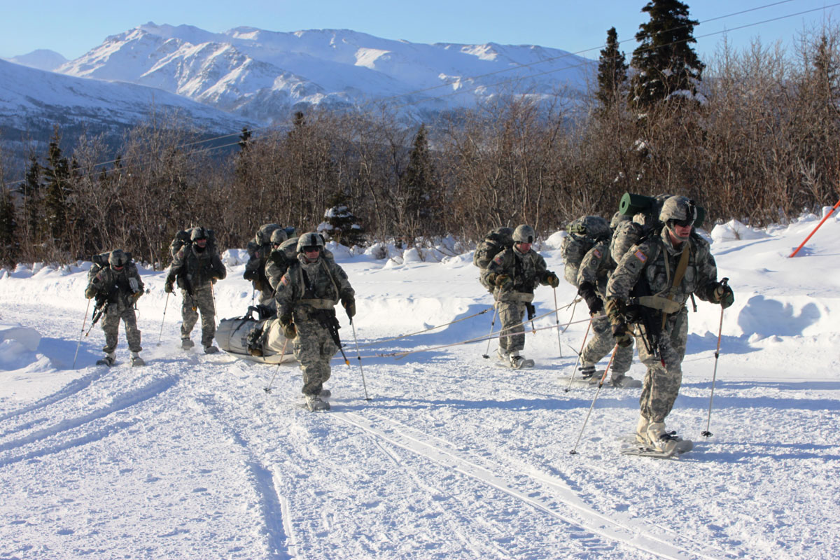 America S Army Our Profession