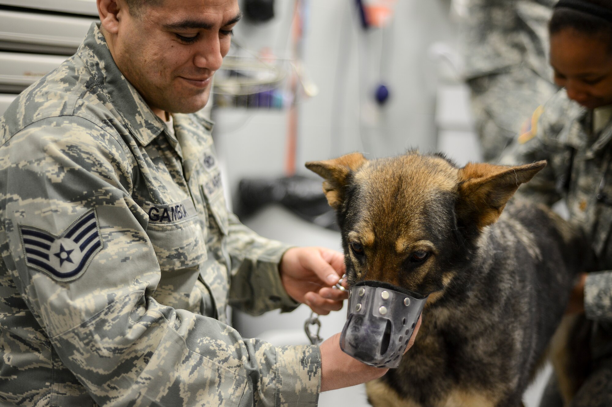 Soma, 31st Security Forces Squadron explosives detection dog, is examined at the base’s veterinary clinic March 29.  Soma recently underwent surgery to relieve a compressed spinal disk, a common issue in large dog breeds. Soma is recovering well and is expected to return to active duty. (U.S. Air Force photo/Senior Airman Katherine Tereyama)