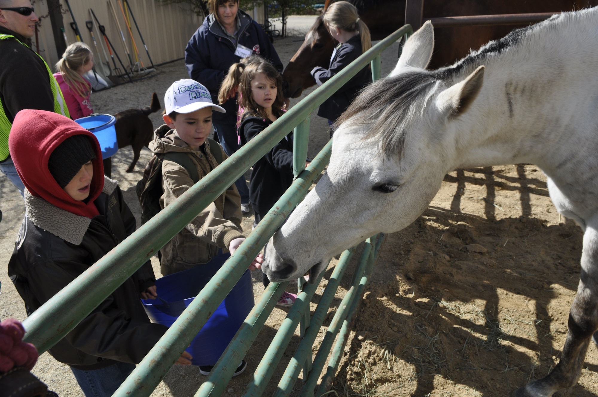 Kids of the Nevada National Guard Child & Youth program taking turns feeding the horses during the April, 2013 " Round ‘em Up Spring day camp."  April is the Month of the Military Child, and the camp gave over 25 military kids a chance to interact with various barnyard animals, learn equine safety, health and diet, and basic riding skills.  USAF photo by Capt. Jason Yuhasz 152AW/PA (released).