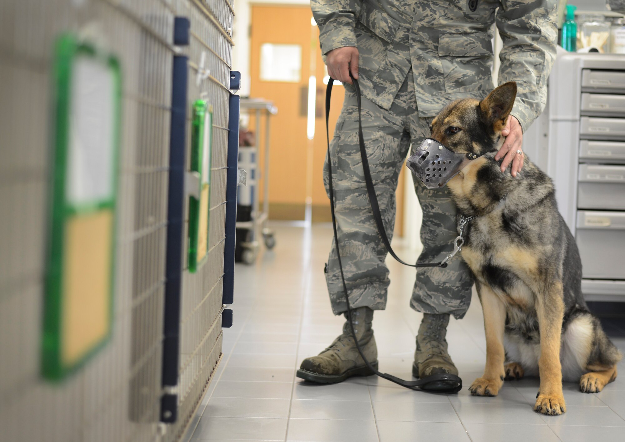 Staff Sgt. Manuel Gamboa, 31st Security Forces Squadron military working dog trainer, comforts Soma, 31st SFS explosives detection dog, during a visit to the base’s veterinary clinic for a post-operation check up March 29. Soma recently underwent surgery but is recovering well and is expected to return to active duty. (U.S. Air Force photo/Senior Airman Katherine Tereyama)