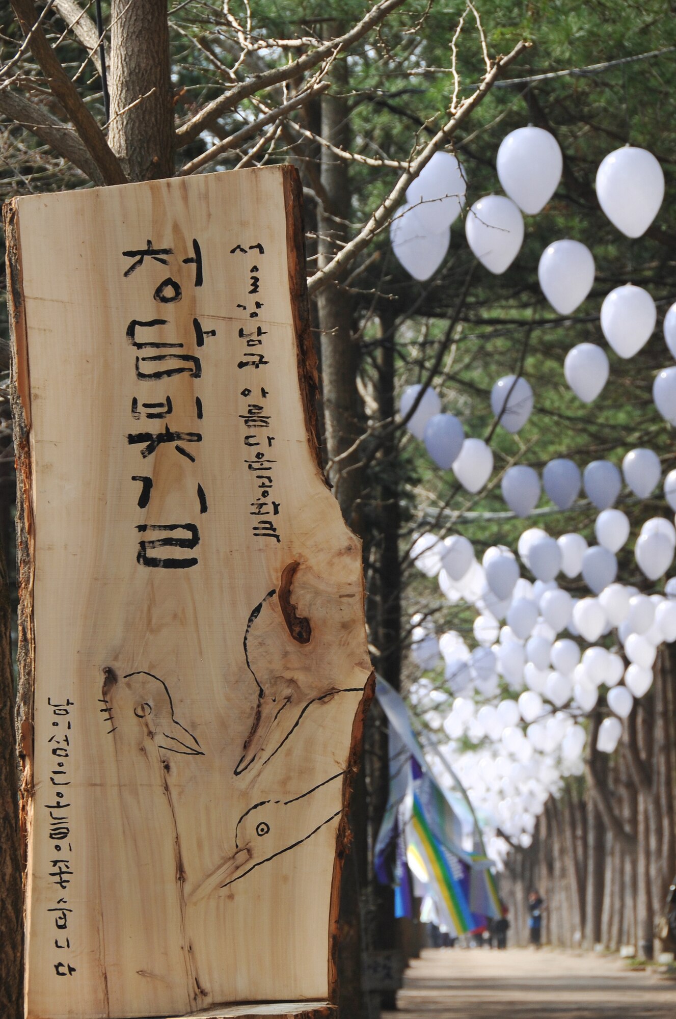 A tree-lined path of hanging lanterns are among some of the initial sites visitors see after exiting the ferry or zip lining down to Nami Island with an Information Tickets and Travel trip April 8, 2013. Nami island is only two hours from Osan Air Base. (U.S. Air Force photo/Senior Airman Kristina Overton)