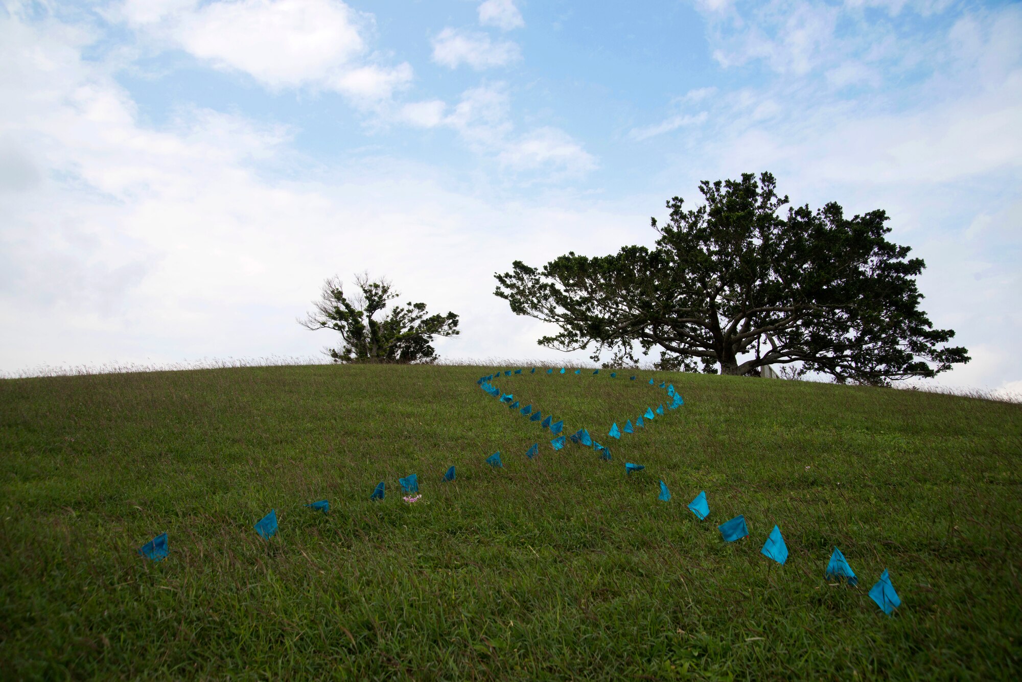 A ribbon of flags has been planted on a hill on Douglas Blvd., Kadena Air Base, Japan, as a visual reminder that it is Sexual Assault Awareness month. The flags are going to be available by donation at various places around the base and will be continue to be planted and displayed throughout the month of April to recognize survivors of sexual assault. (U.S. Air Force Photo/Tech Sgt. Jocelyn L. Rich-Pendracki)