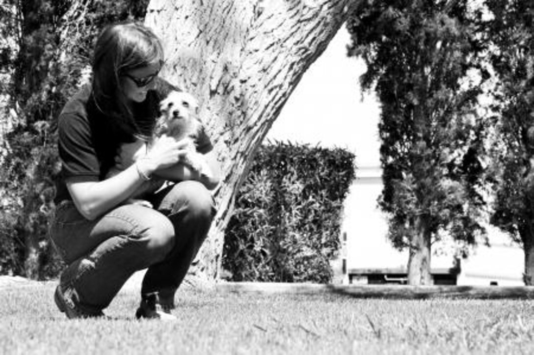 Corporal Bryanna Kessler, a stableman with the Marine Corps Mounted Color Guard on Marine Corps Logistics Base Barstow, plays with her current foster dog at the base library, April 1. During her free time, Kessler volunteers at the local humane society and fosters dogs in hopes of finding them new homes.


