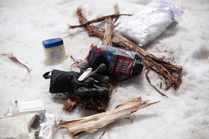 MOUNTAIN WARFARE TRAINING CENTER, BRIDGEPORT, Calif. - Steel wool and cotton balls are some of the tools used for building a fire during a basics for survival training course at Mountain Warfare Training Center in Bridgeport, Calif., April 5, 2013. (Lance Cpl. Suzanna Lapi)