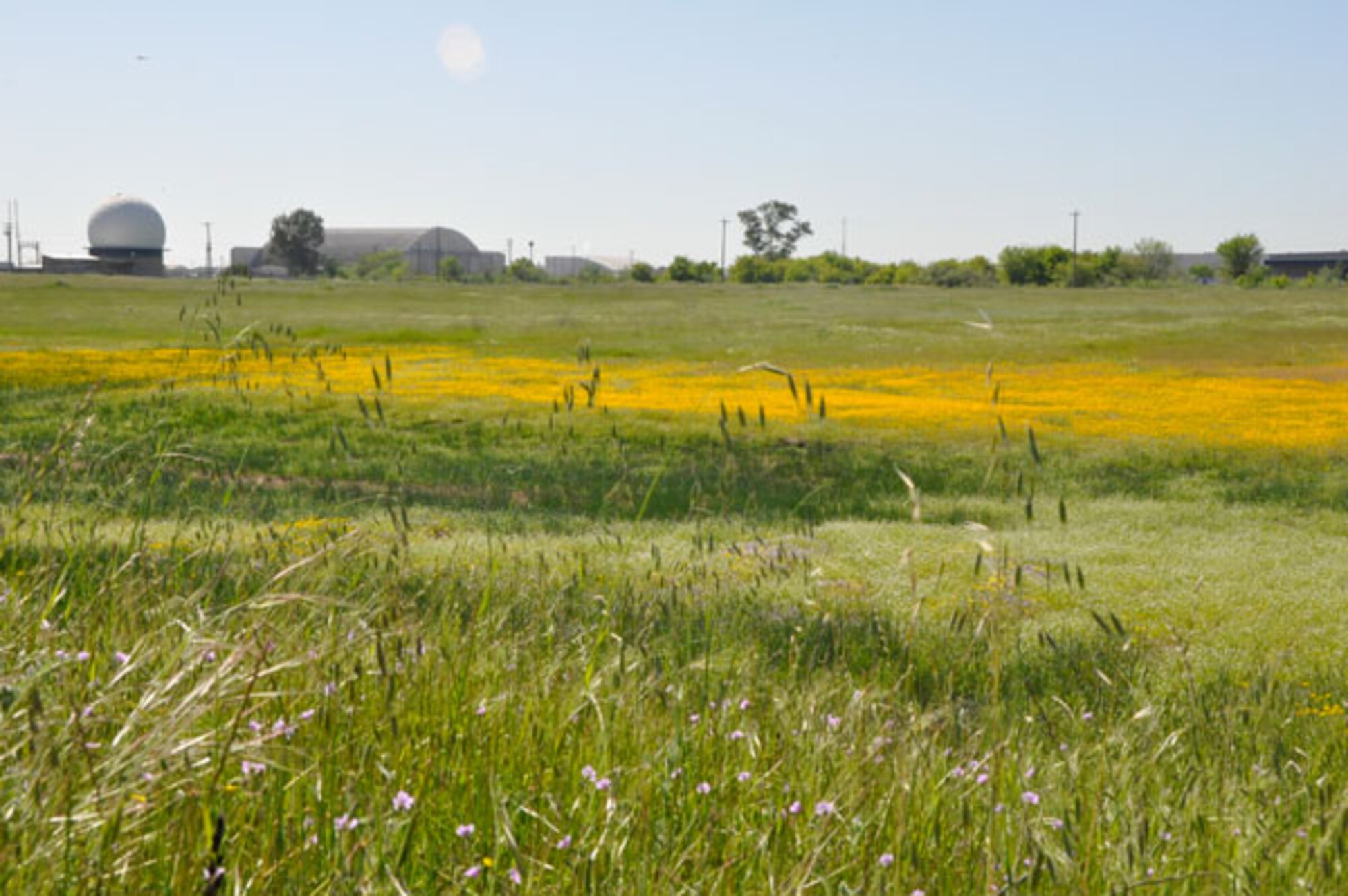 Vernal pools may not look much different than other stretches of dirt and grass. However, this vernal pool area at McClellan, like many others on Air Force land is home to a variety of species that survive only in their unique wet dry cycle.

