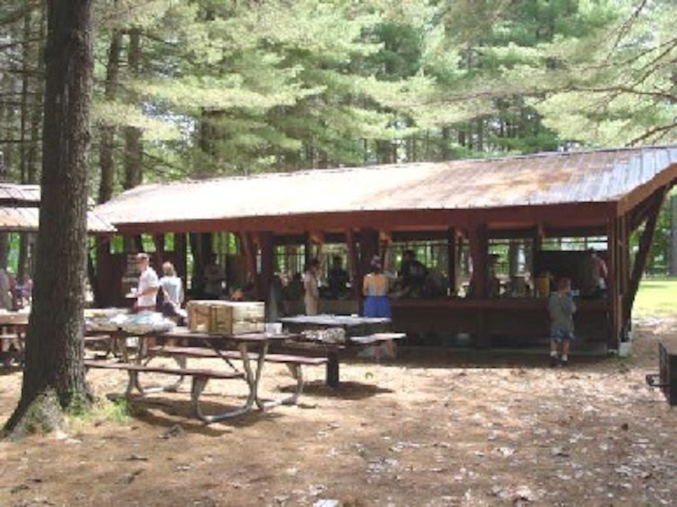 The Davis shelter at Townshend Lake, Townshend, Vt. At Townshend Lake, picnickers can dine in shady woods or take advantage of our covered picnic shelters. Our shelters can be reserved, for a fee, for large gatherings such as family reunions or weddings. Grills are provided at the shelters, with playground equipment, horseshoe pits, and restrooms nearby.