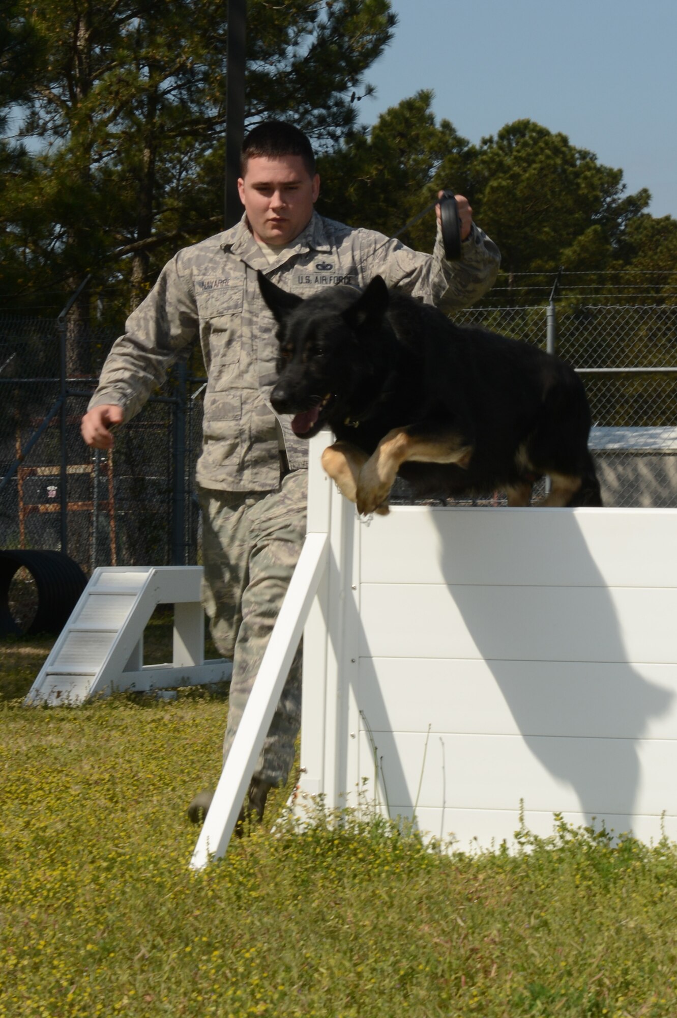 Staff Sgt. Thomas Navarre, 20th Security Forces Squadron Military Working Dogs Section K-9 handler, practices discipline training with Barras, a 20th SFS military working dog, at Shaw Air Force Base, S.C., April 8, 2013.  Military working dogs are capable of detecting narcotics and several different types of explosives. They also do patrol work around the base which is a psychological deterrent and an anti-terrorism measure. (U.S. Air Force photo by Airman 1st Class Krystal M. Jeffers/Released)
